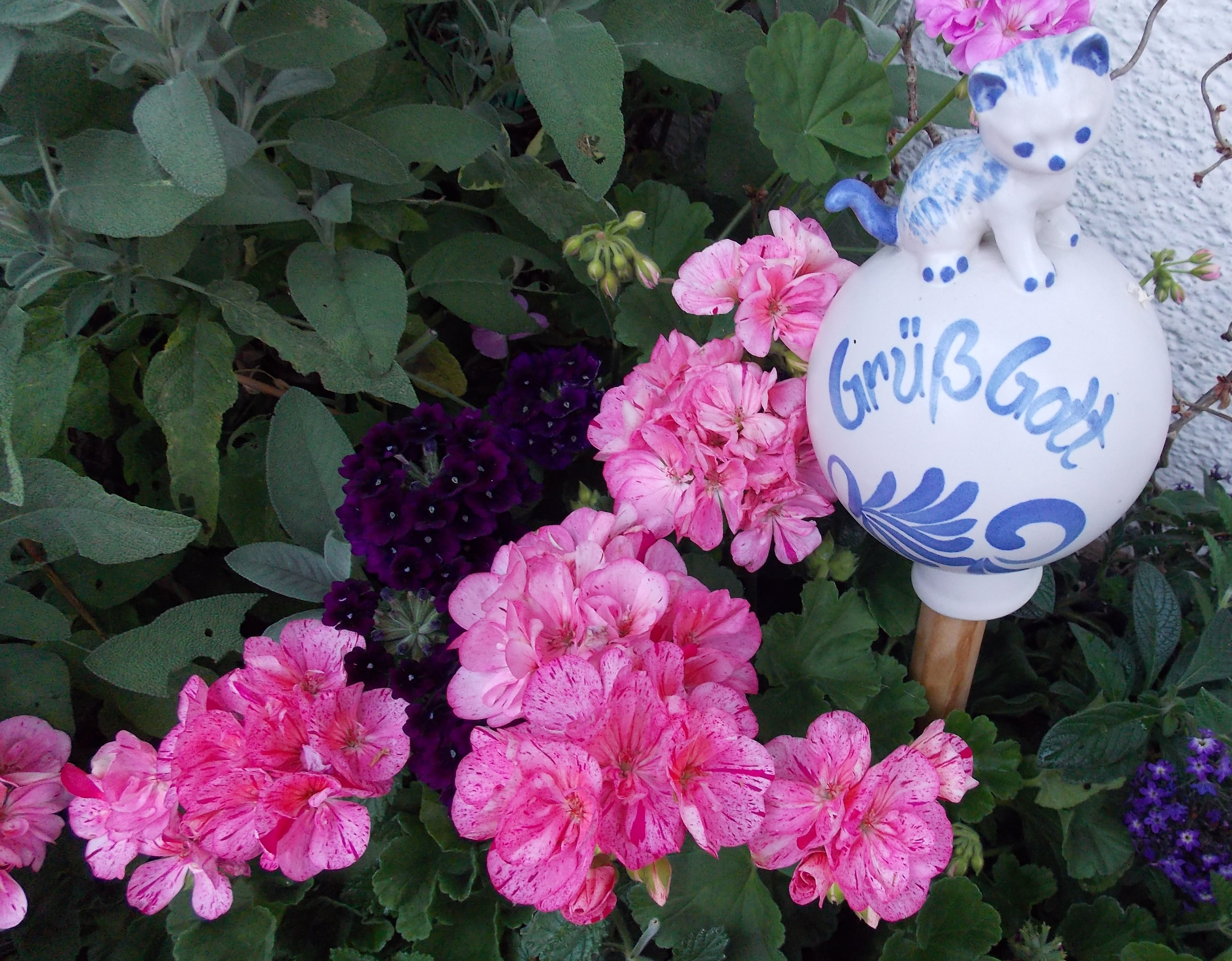 Pensionen - Parkplatz: kostenlos bei der Pension - Hopferau - Grüß Gott auf dem Bauernhof Hefele - Ferienhof Hefele