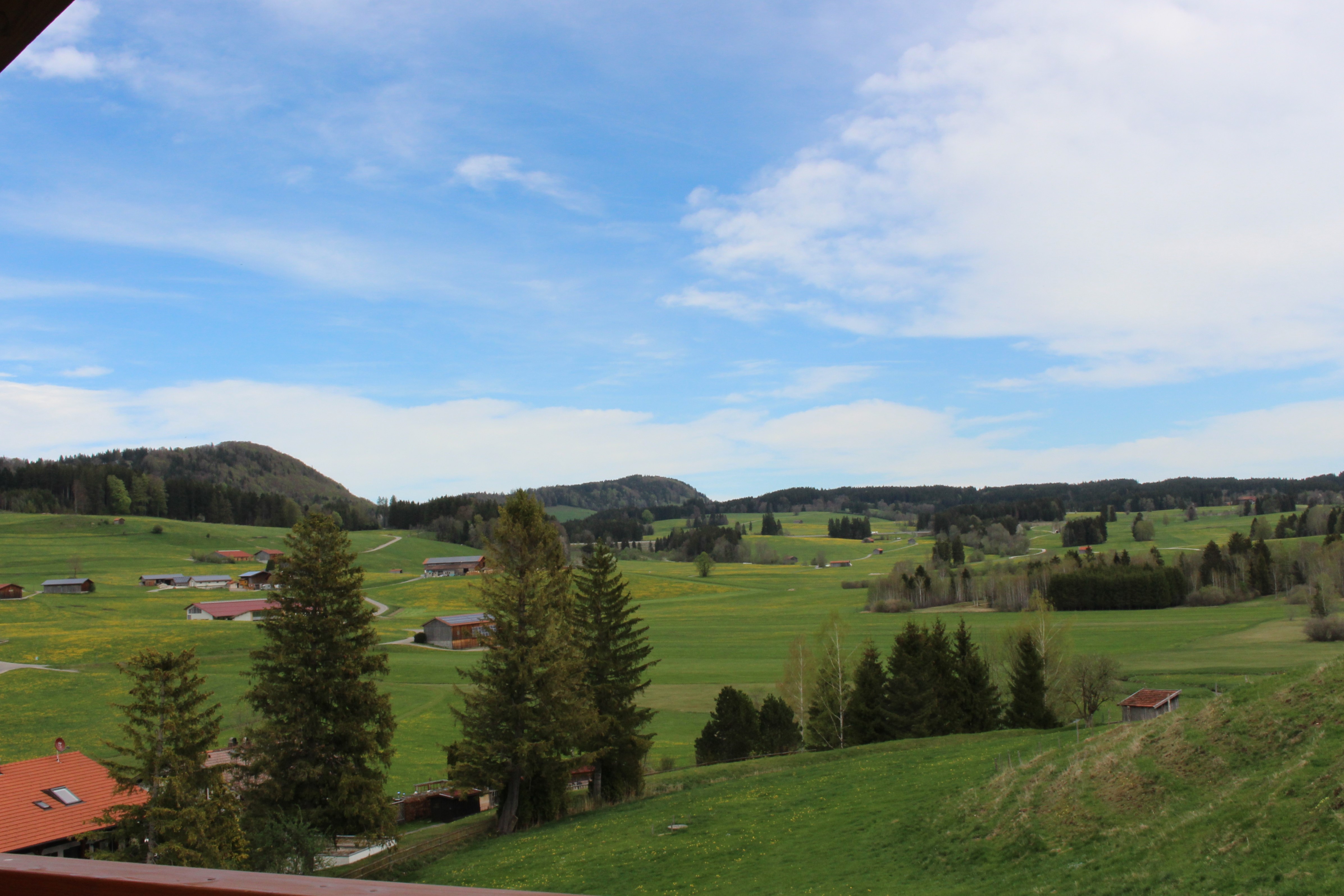 Frühstückspension: Bauernhof Hefele - Aussicht von unserem Gästehaus - Ferienhof Hefele