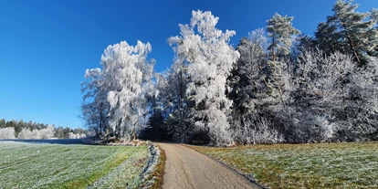 Pensionen - Mitterfels - Natur um die Pension (200m) - Berggasthof und Pension Wieser