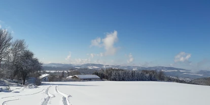Pensionen - Mitterfels - Ausblick 200m von der Pension entfernt - Berggasthof und Pension Wieser
