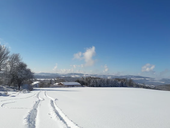 Frühstückspension: Ausblick 200m von der Pension entfernt - Berggasthof und Pension Wieser