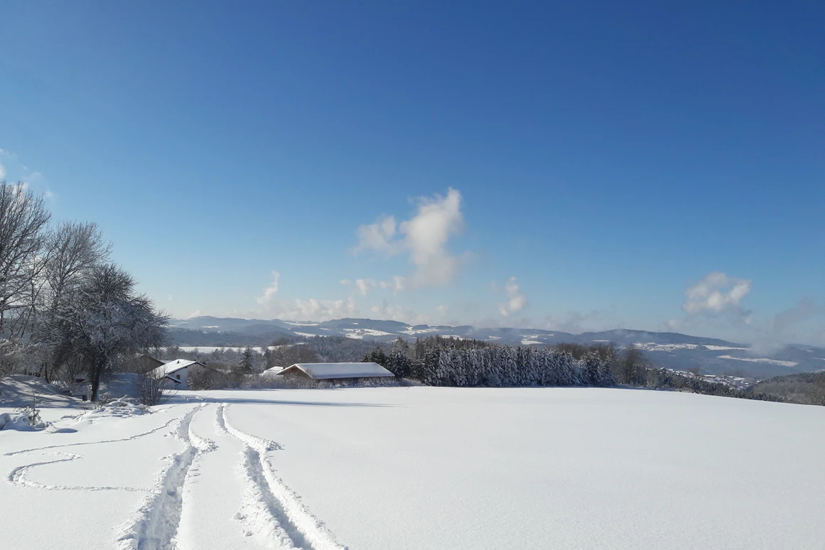 Frühstückspension: Ausblick 200m von der Pension entfernt - Berggasthof und Pension Wieser