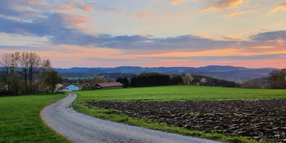 Pensionen - Mitterfels - Ausblick 200m von der Pension entfernt - Berggasthof und Pension Wieser