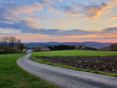Frühstückspension: Ausblick 200m von der Pension entfernt - Berggasthof und Pension Wieser