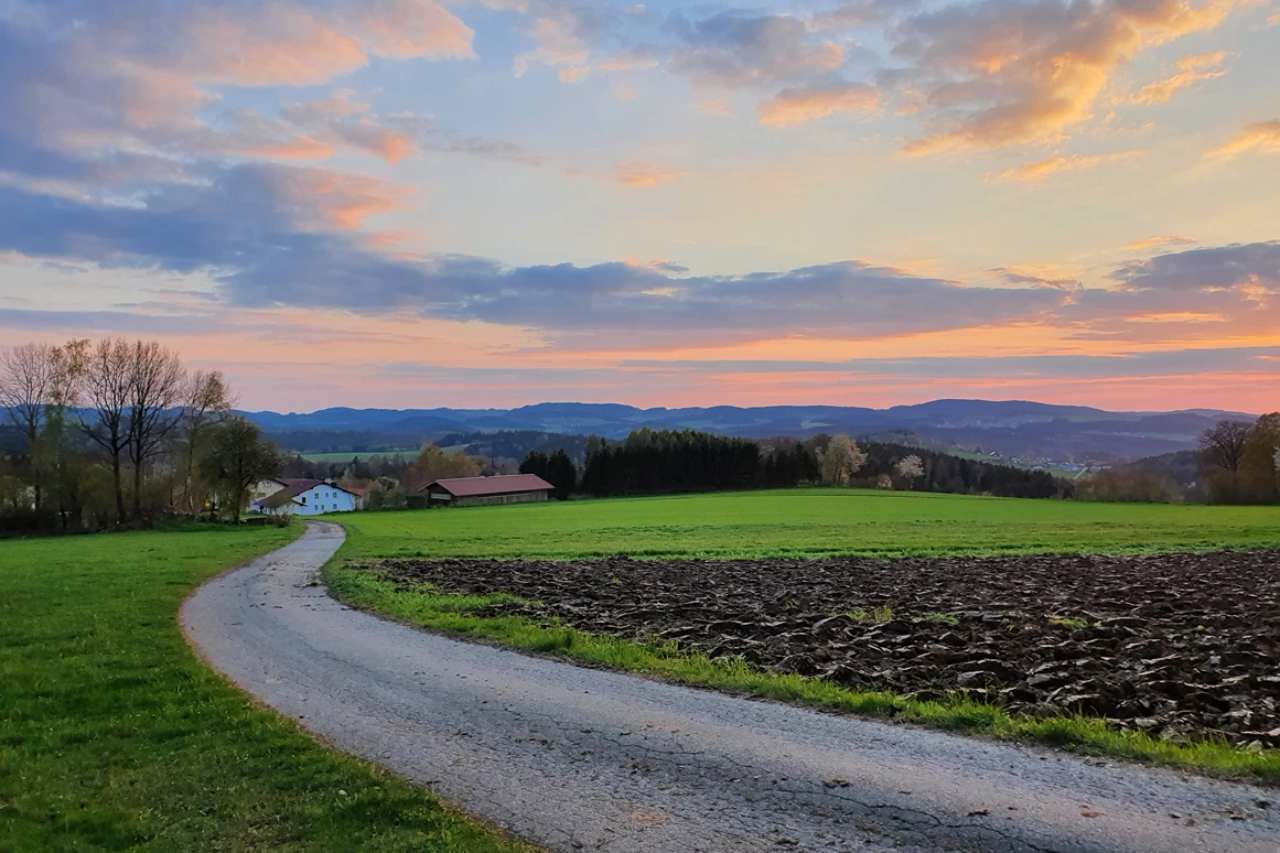 Frühstückspension: Ausblick 200m von der Pension entfernt - Berggasthof und Pension Wieser