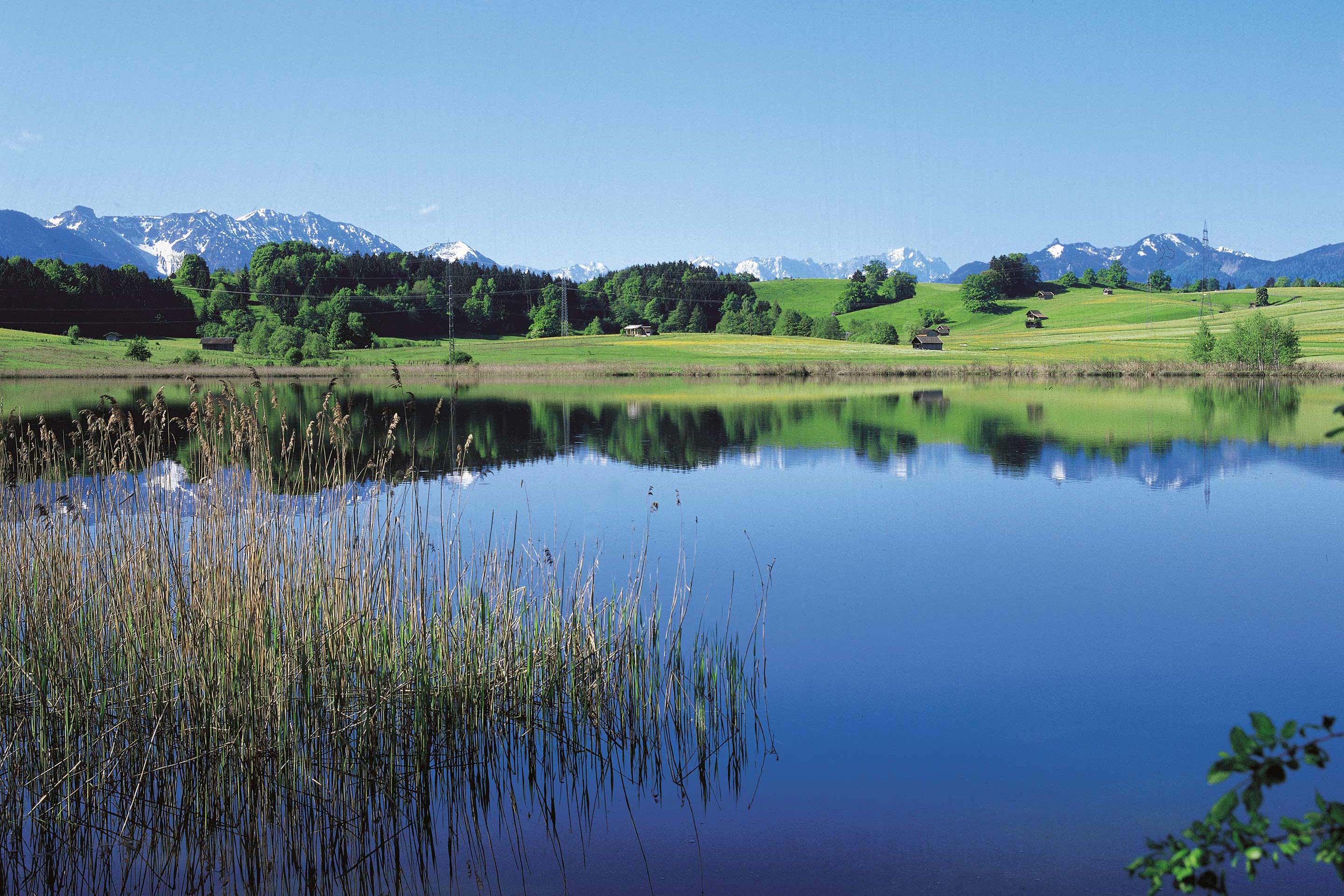 Frühstückspension: Privater Badeplatz am Froschhauser See - Pension St. Leonhard
