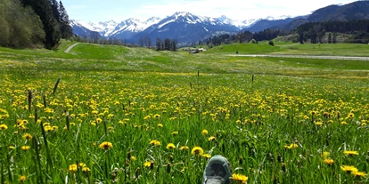 Pensionen - Balkon - Oberstdorf - unsere Heimat - Gästehaus Alpenblick