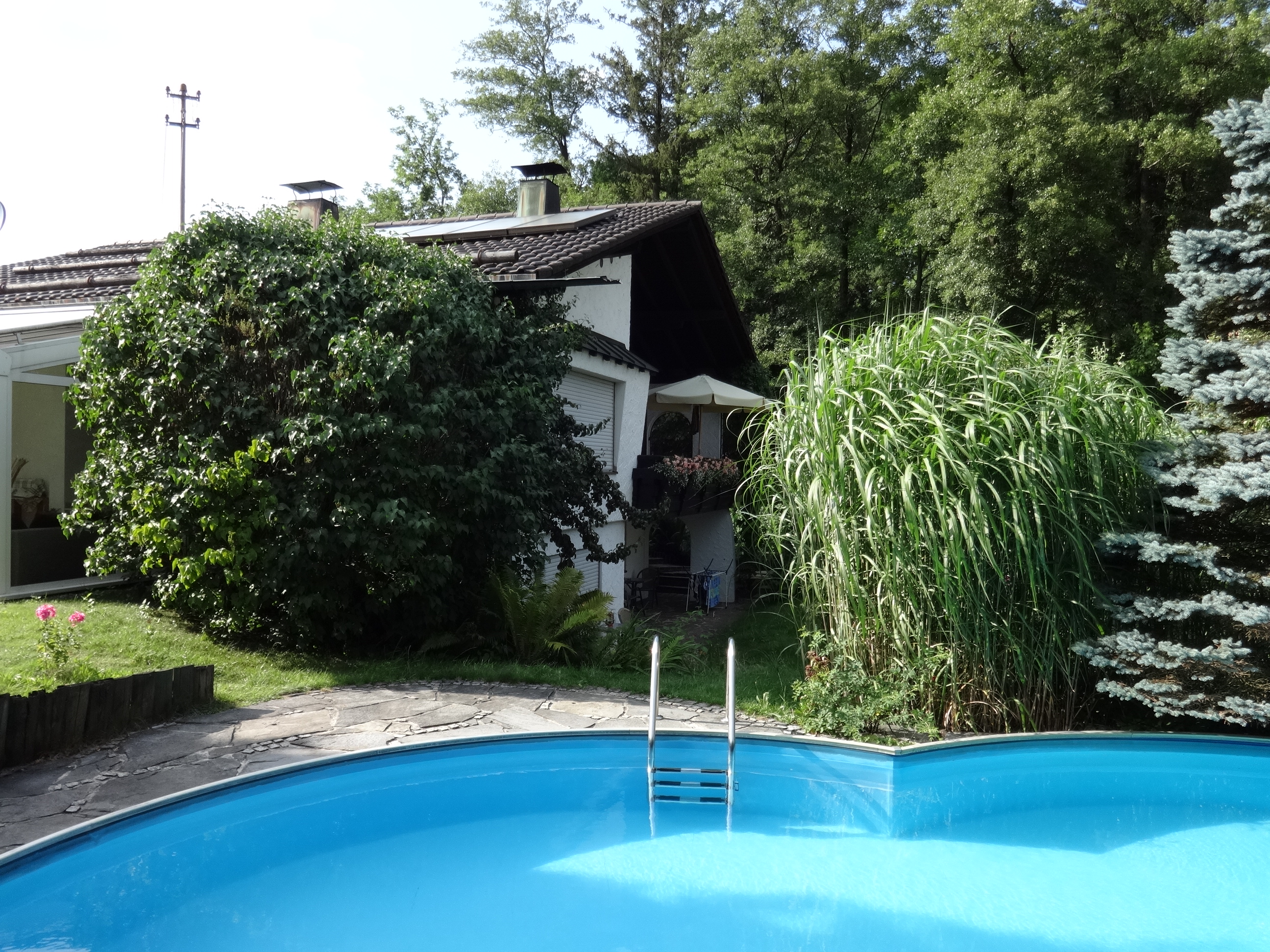 Pensionen - Region Chiemsee - Landhausvilla Ehrlich - Gästehaus Ehrlich