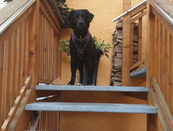 Frühstückspension: Pension Anker