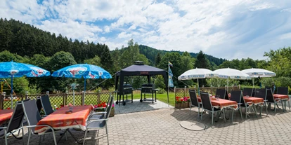 Pensionen - Parkplatz: kostenlos bei der Pension - Franken - Terrasse - Gruppenferienhäuser & Hotel-Pension Dressel