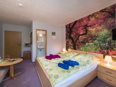 Frühstückspension: Doppelzimmer mit Balkon - Gruppenferienhäuser & Hotel-Pension Dressel