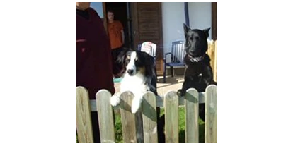 Pensionen - Eppenschlag - Terrassenzimmer - Pension Sonnleit´n - Ihr Urlaub mit Hund