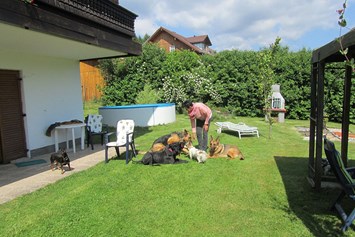 Frühstückspension: Garten und Hundepool - Pension Sonnleit´n - Ihr Urlaub mit Hund 