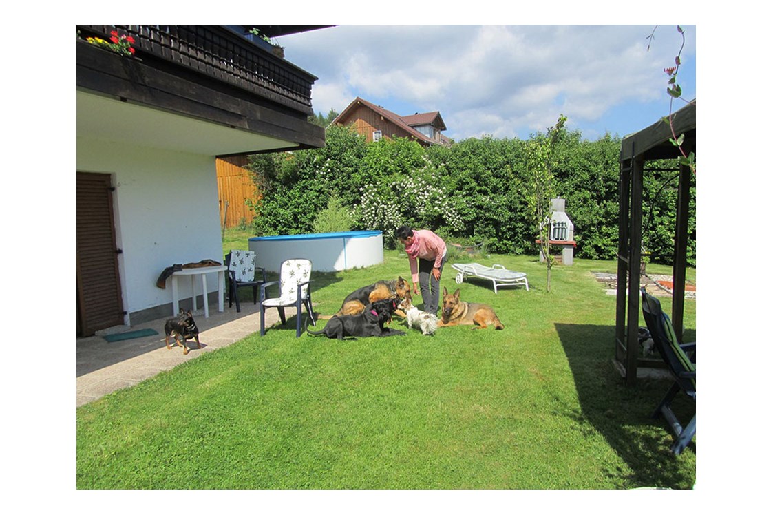 Frühstückspension: Garten und Hundepool - Pension Sonnleit´n - Ihr Urlaub mit Hund 