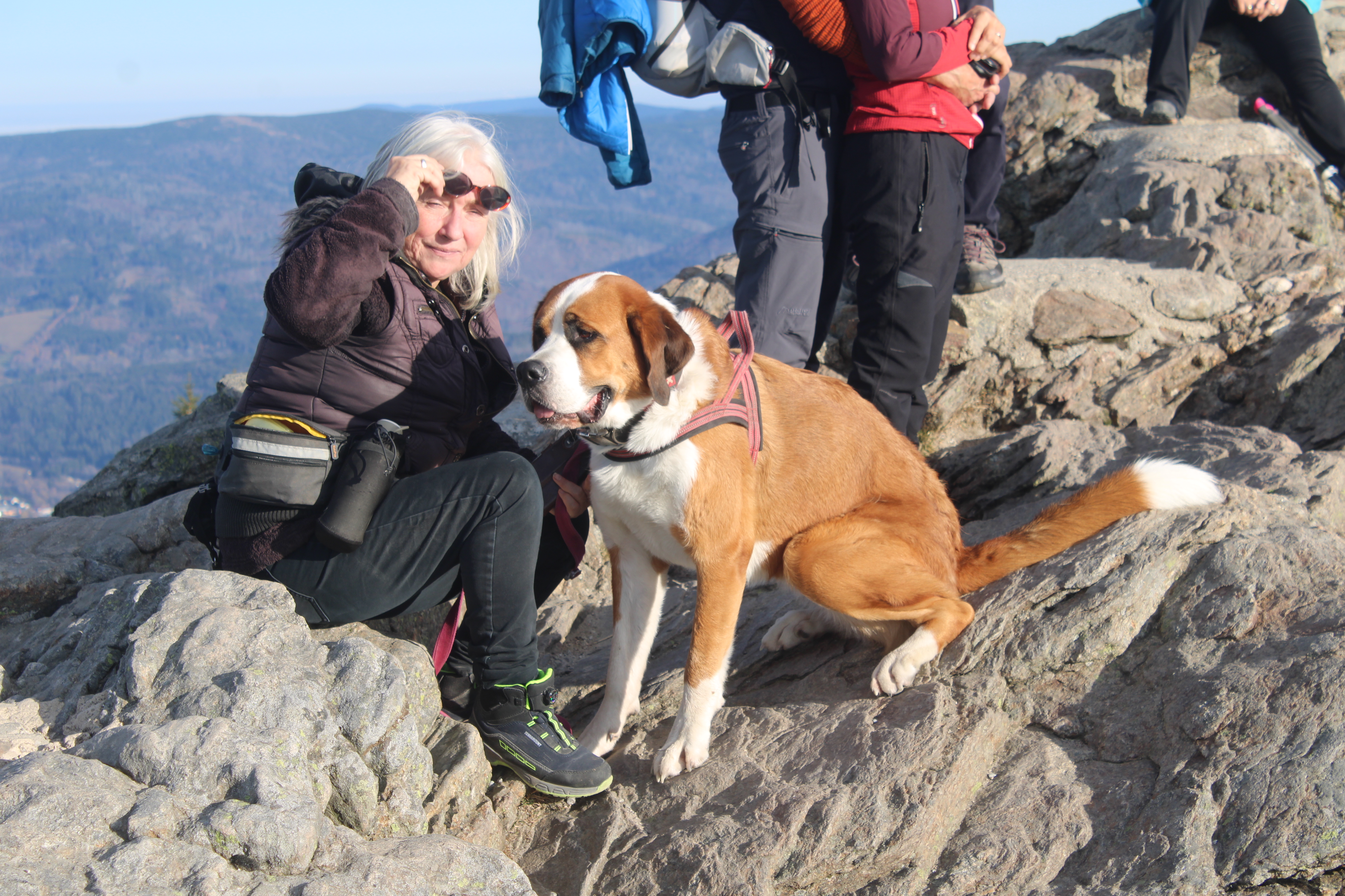 Pension Sonnleit´n - Ihr Urlaub mit Hund  Ausflugsziele Großer Arber