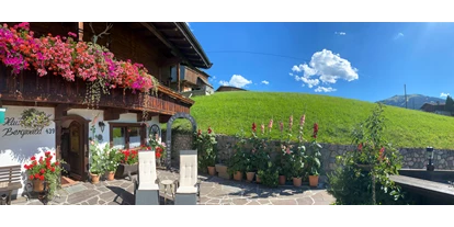 Pensionen - Alpbachtal Seenland - Bergwald Alpbach Appartements