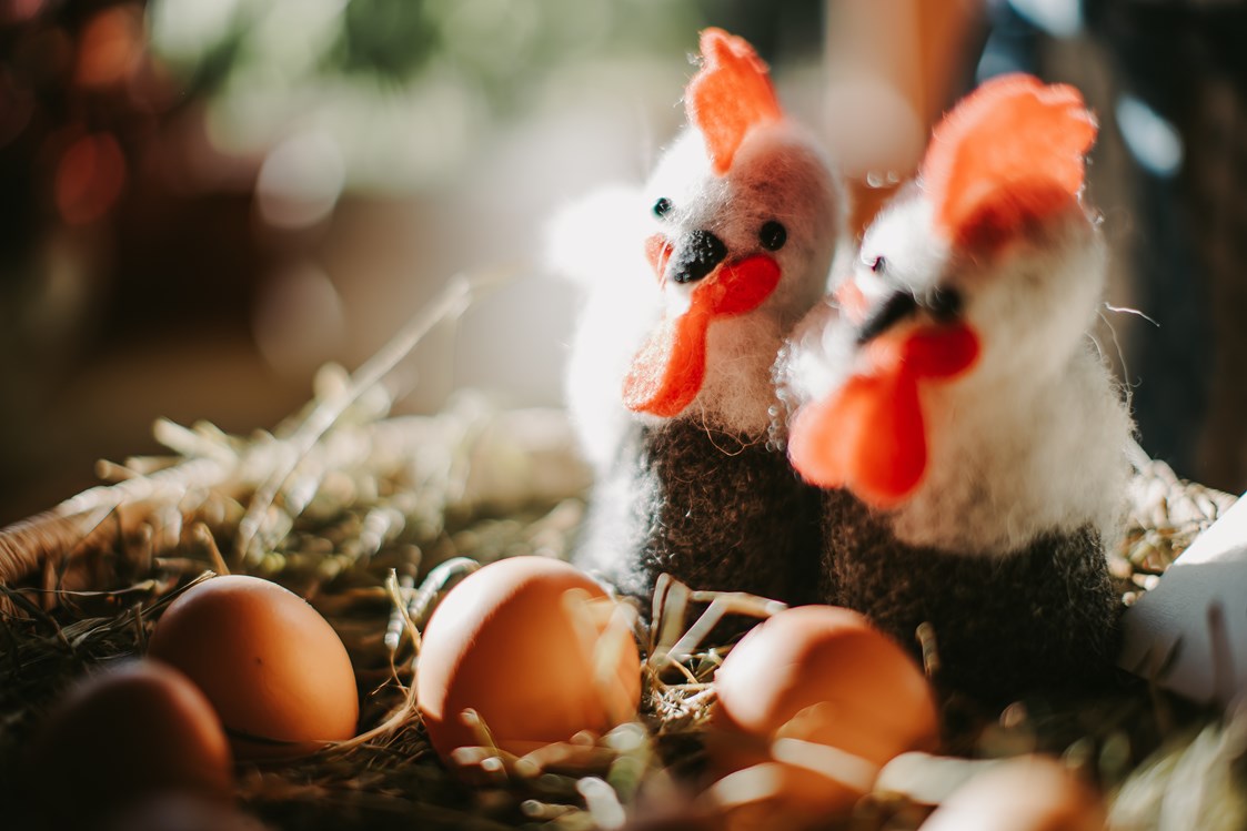 Frühstückspension: Frühstück - die Eier werden von glücklichen Hühnern von einem Bauernhof in Birgitz bezogen - Gästehaus Schwaninger