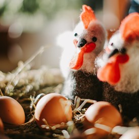 Frühstückspension: Frühstück - die Eier werden von glücklichen Hühnern von einem Bauernhof in Birgitz bezogen - Gästehaus Schwaninger