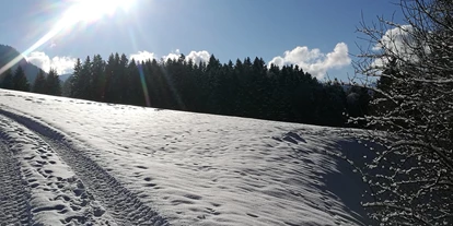 Pensionen - Alpbachtal Seenland - Hausbergerhof